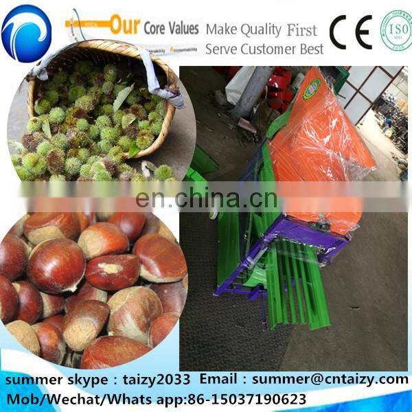 Thorn stab removal chestnut huller