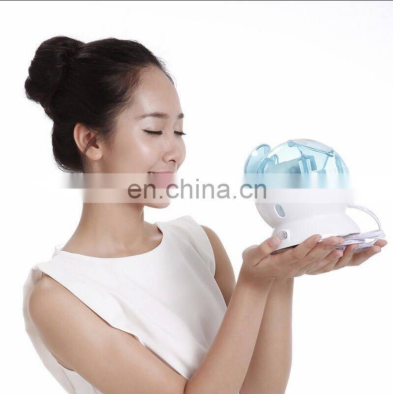 2019 Hot Selling Home Skin Care Nano Spray whitening Portable Egg Lon Facial Steamer