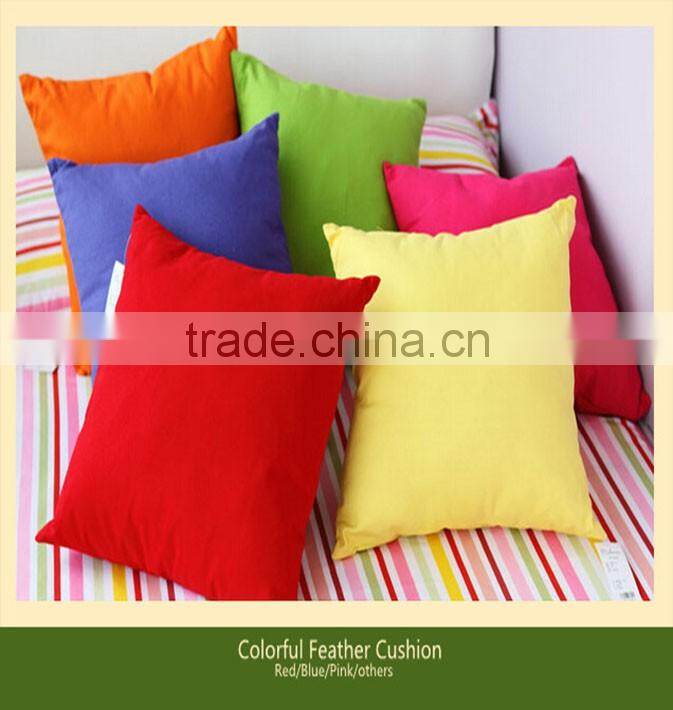 Decorative cushion/office pad/car pad/feather cushion