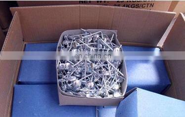 Hot sale galvanized umbrella roofing nails with rubber washer in Peru from XINHAI nail manufacturer