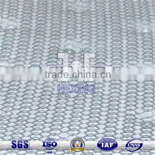 Stainless Steel |Galvanized Wall Plaster Mesh