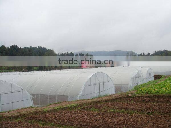 Low Cost Greenhouse With Side Ventilation