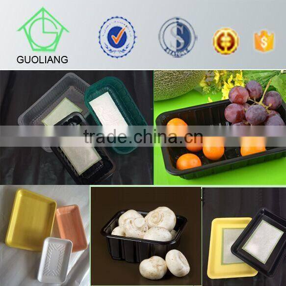 Different Type Food Grade Disposable Plastic EPE Foam Net