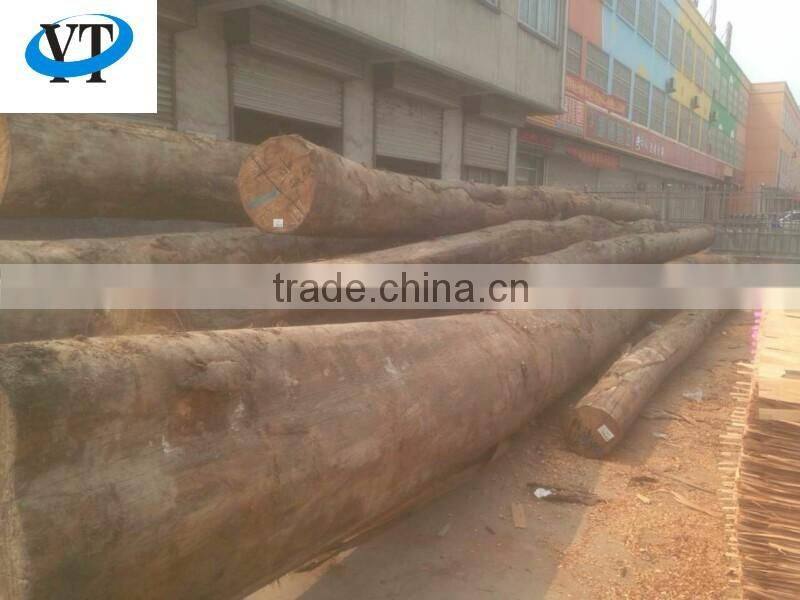 4*8 feet pencil cedar core veneer A/B/C/D grade
