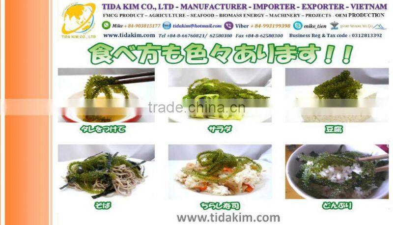 FROZEN BASA FILLLET - PANGASIUS SURIMI-TIDA KIM - BLACK TIGER SHRIMP LIVE FROZEN LOBSTER P ORNATUS - BIG SIZE 10KG