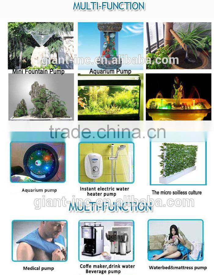 Giant High Quality Water Pump 12 Volt