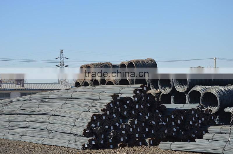 10-25mm HRB400 steel bar concrete iron/iron bar/tmt bars price