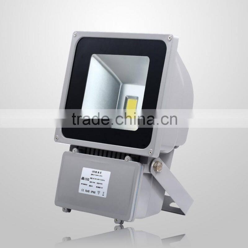 Cold white Waterproof 100W LED flood light with siliver aluminum housing
