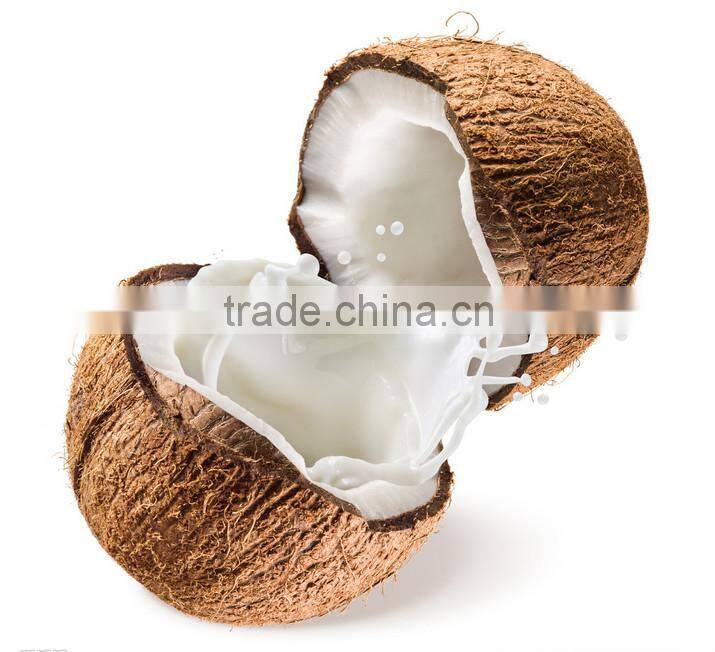 Special Instant Coconut Juice Soybean Puddiing
