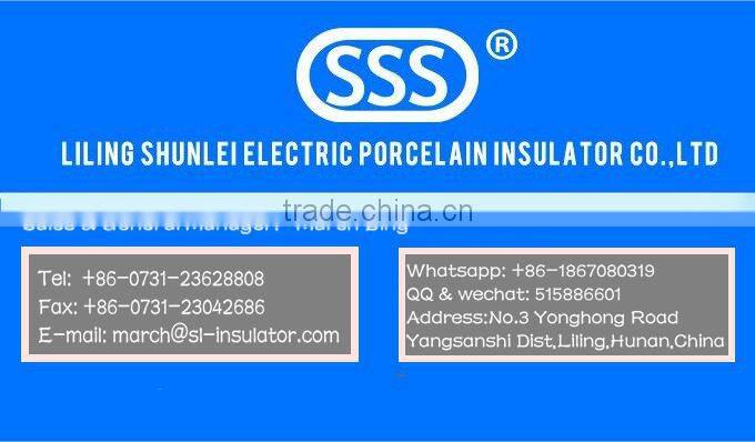 High Quality Transformer Porcelain Bushing insulator
