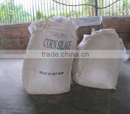 Corn silage for animal and poultry feed