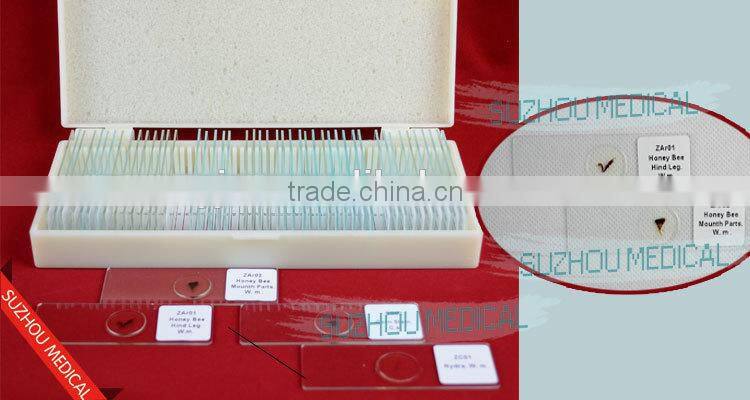 50pieces set primary school study zoology and botany mixed biology slides