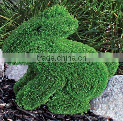 animal shape boxwood topiary