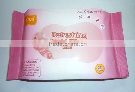 make up remover wipes, Wet Wipe