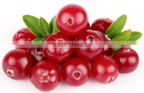 Supply bilberry anthocyanidin powder bilberry extract