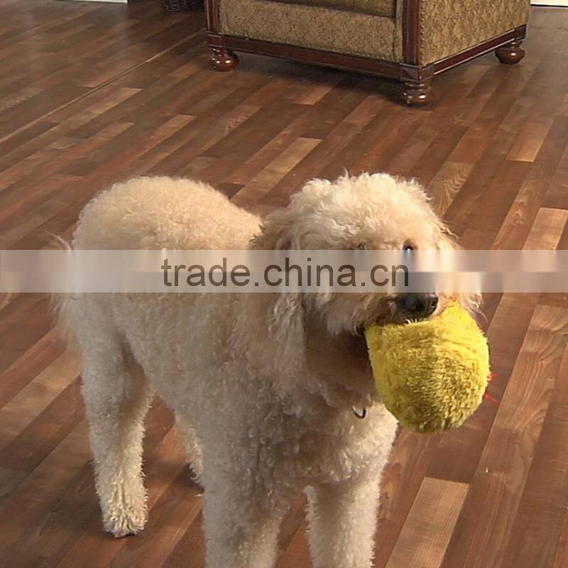 Pet jumping bouncing ball