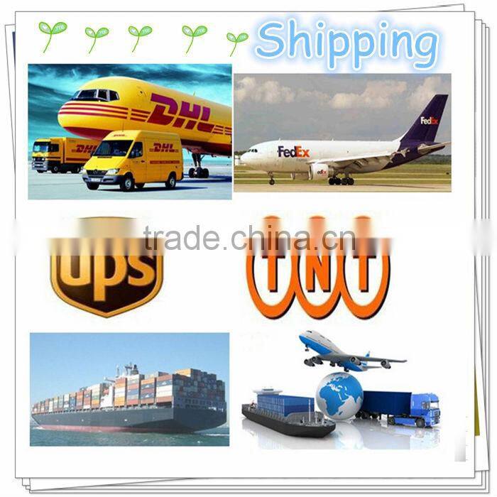 Customized metal stamping precision copper shrapnel from China