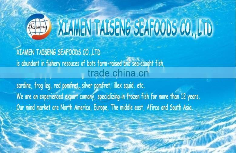 Trachurus Trachurus Horse Mackerel Frozen Fish