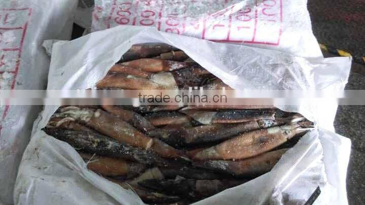 Frozen Illex Argentinus Squid Whole 100g down