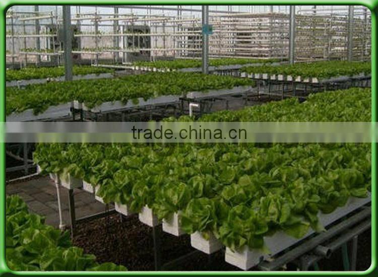 Hot used sale hydroponic tropical greenhouse for tomato