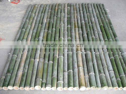 Artifical Bamboo Poles On Sale