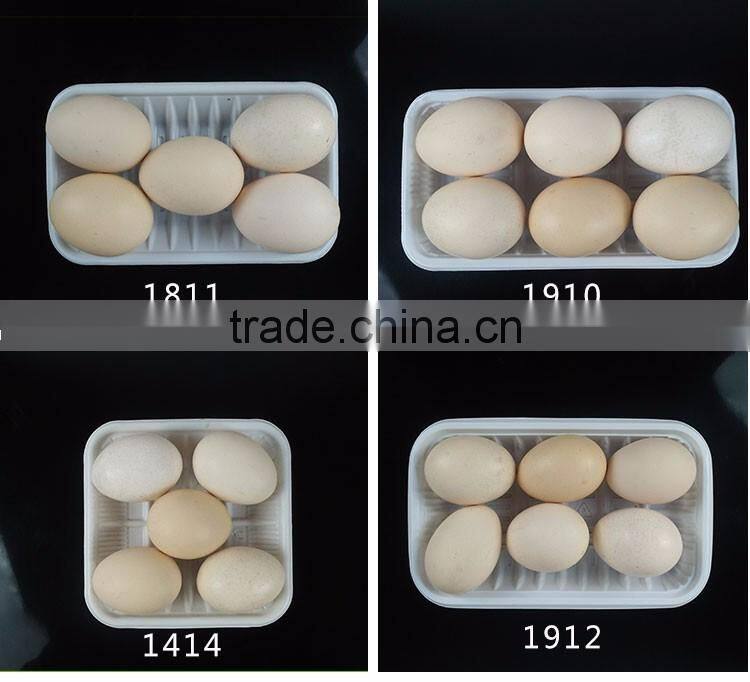 PP food grade plastic tray for fresh vegetable packaging wholesale