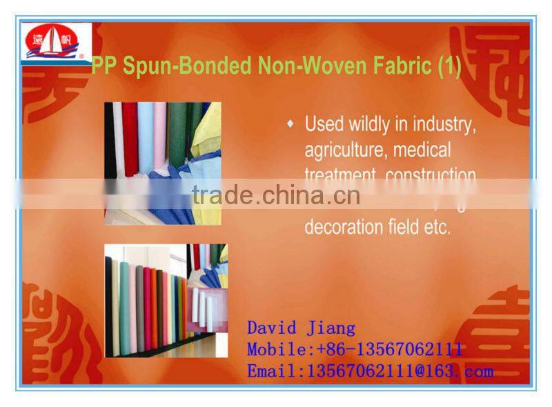 The lowest price 100% PP Non Woven fabric use for shopping bags