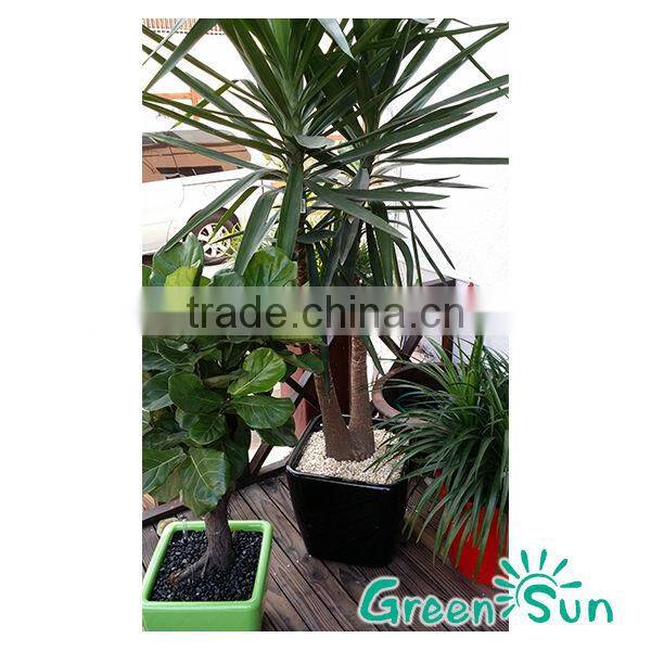 Garden planter pot,flower pot,self-watering planter,nursery Pots,Sub-irrigation system planter pot,Desktop planter