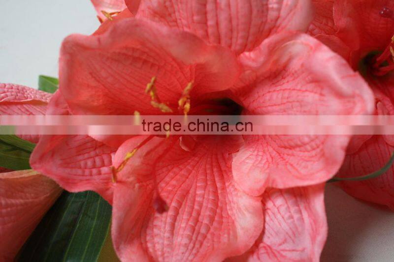 Natural Vallota speciosa fabric Vallota speciosa decorative Vallota speciosa artificial flower for wholesale