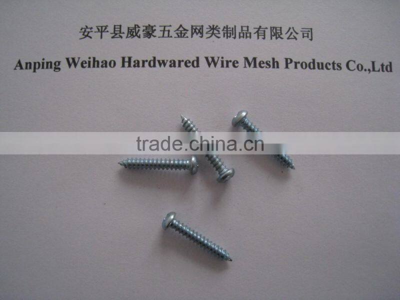 Phillips pan head self tapping screw with washers