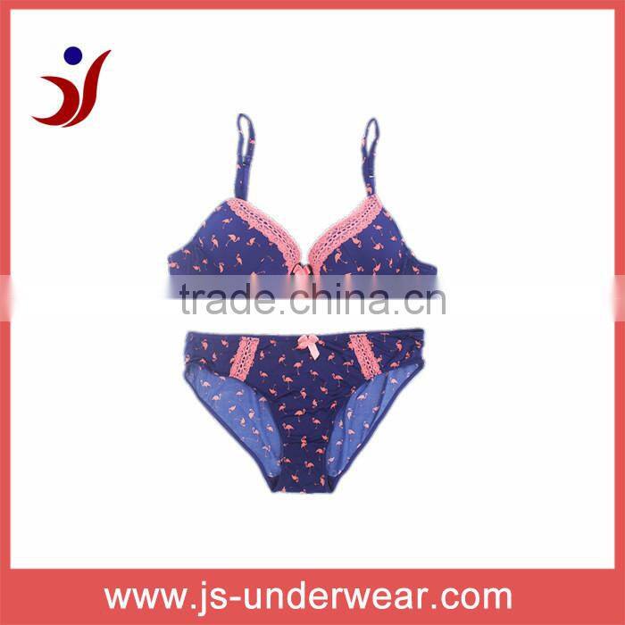 Factory OEM ODM ladies latest design bra / ladies sexy bra ladies underwear bra new design