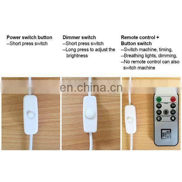 2017 Remote Control Switch Creative lamp,Christmas gift desk lamp,Night Lamp Desk Light