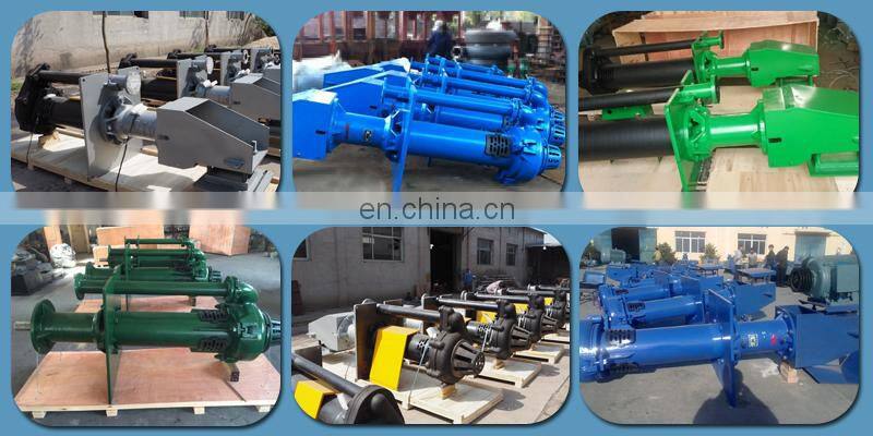 Electric Driven Sump Slurry Pump