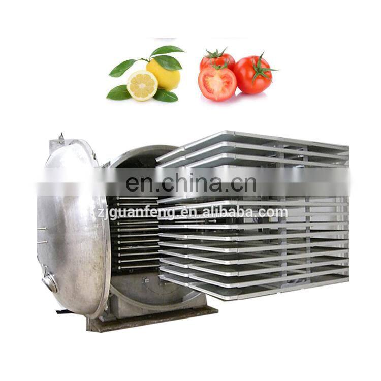 Food freeze dryer equipment for FD vegetables fruits herb coffee and convenient soup