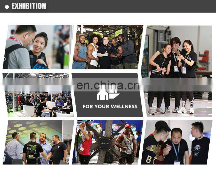 Discount Price E4028A Friceps Extension Fitness Gym Equipment Building Body