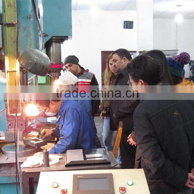 Various shapes cemented carbide wear parts