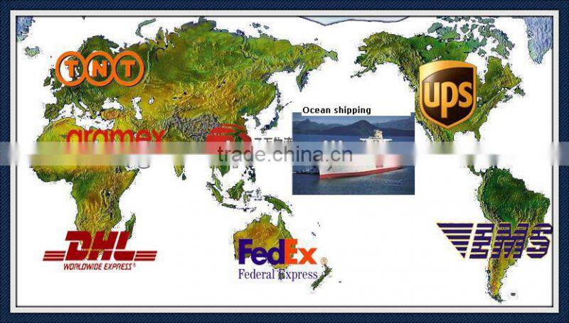 New design disposable cooler bag for outdoor