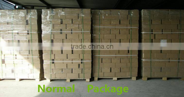 1.5" polyester webbing cargo lashing strap