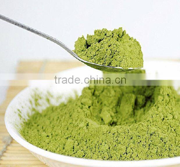 High Quality Bermuda Grass(Cynodon dactylon) Powder Manufacturer