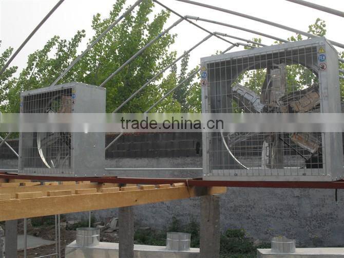 Greenhouse and poultry air cooler ventilator exhaust fan
