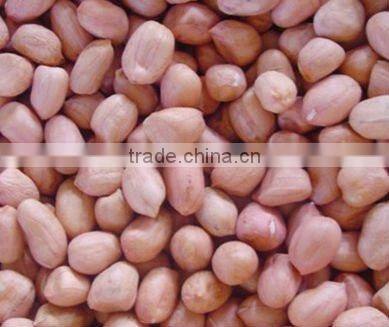 Peanut Shelling Machine/Peanut Sheller/Peanut Sheller Machine-- 15838349193
