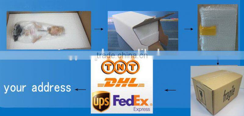 Donald Trump Bobble head