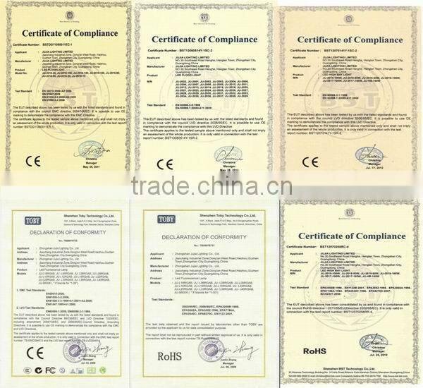 outdoor IP65 10W led floodlight