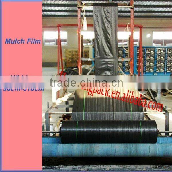 Hot ! Agriculture black Mulch Film (PP Woven Fabric)