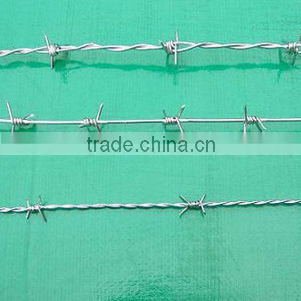 12*12 types motto barbed wire