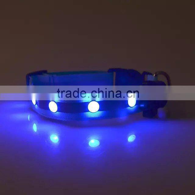 light up you and your pet dog evening dog collar with led lights