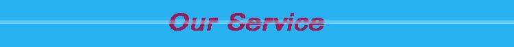 800-1000kg/h Twin Screw Extruder Pet Food Machine