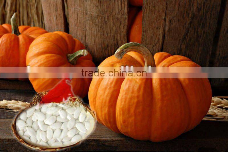 snow white pumpkin seeds