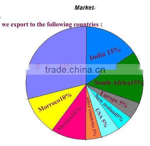 export to South Africa copper heat pipe