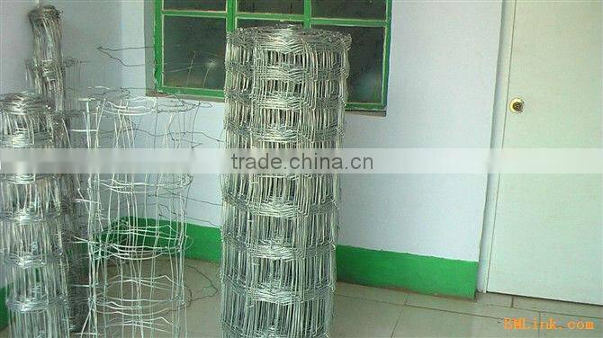 Anping county iron prairie fence(manufacturing)